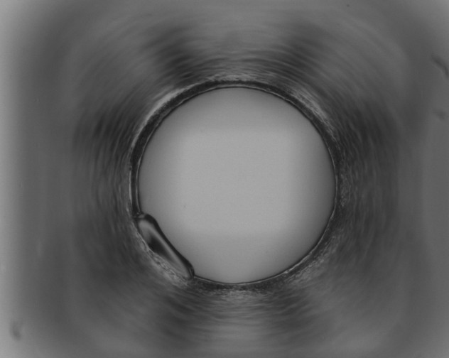 X0000091690984200709201255