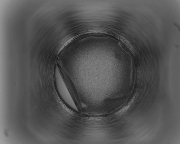 X0000091690985200709201255