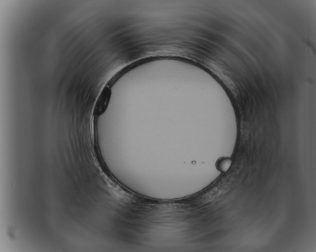 X0000091690988200709201255