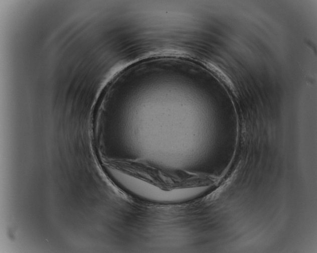 X0000091690989200709201255