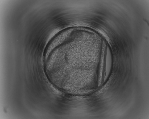 X0000091690990200709201255