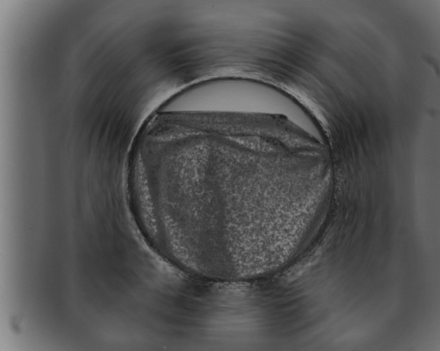 X0000091690991200709201255