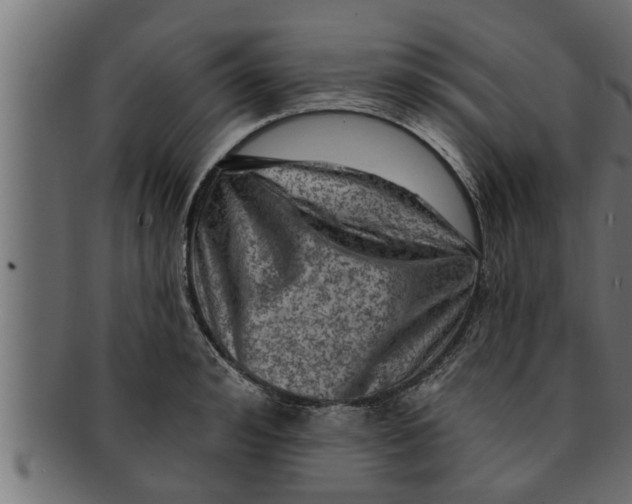 X0000091690992200709201255