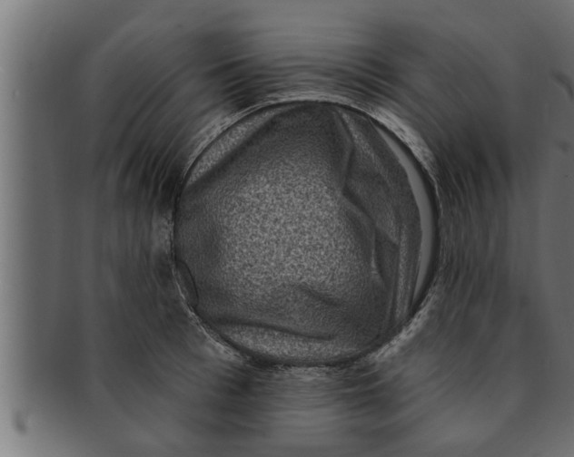 X0000091690993200709201255