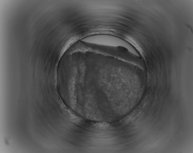 X0000091690994200709201255