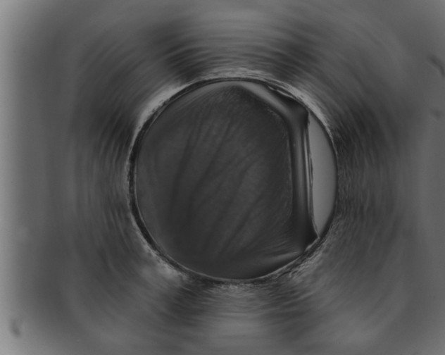 X0000091690995200709201255