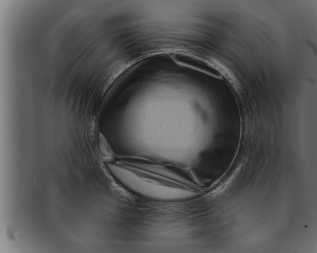 X0000091691001200709201255