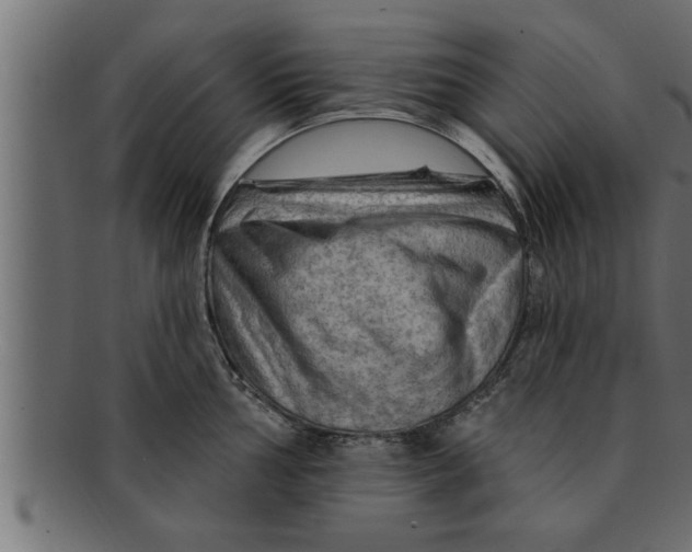 X0000091691002200709201255