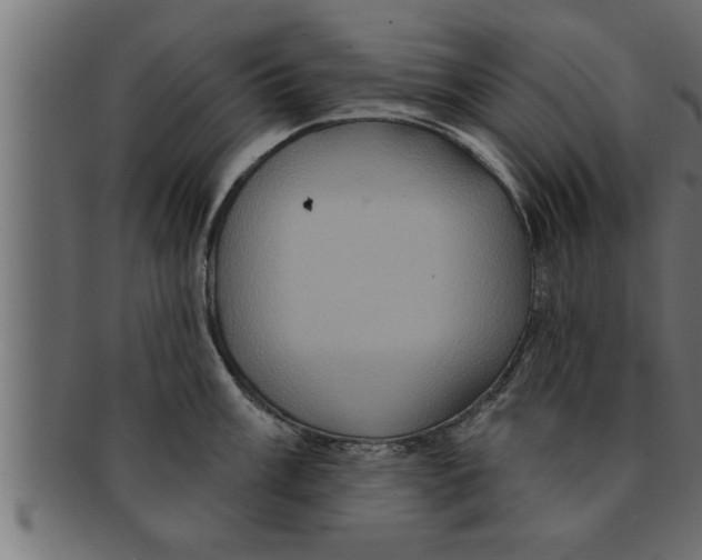 X0000091691003200709201255