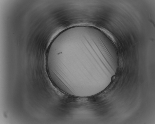 X0000091691006200709201255