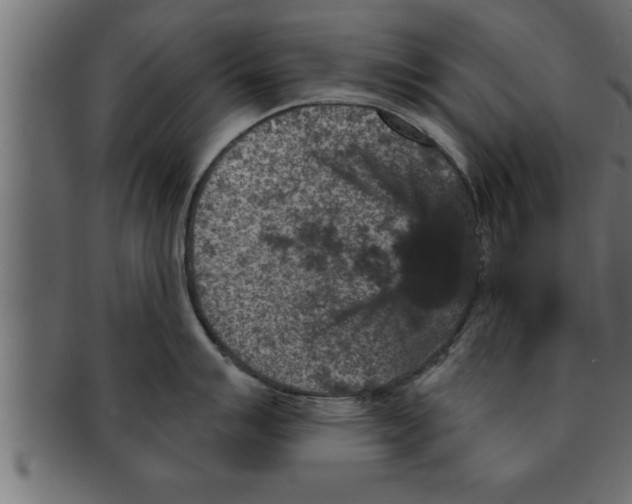 X0000091691007200709201255