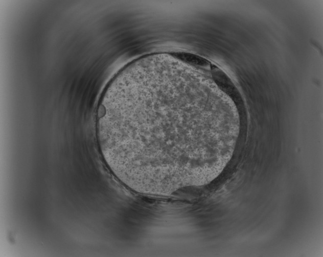 X0000091691008200709201255