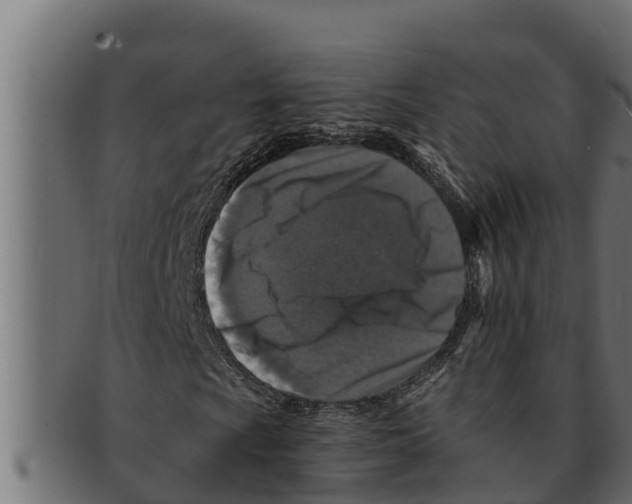 X0000091691009200709201254