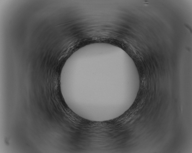 X0000091691012200709201254