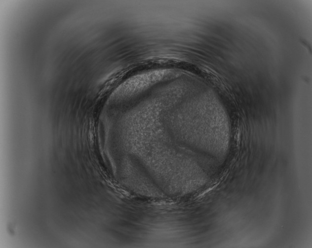 X0000091691014200709201254