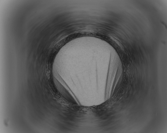 X0000091691015200709201254