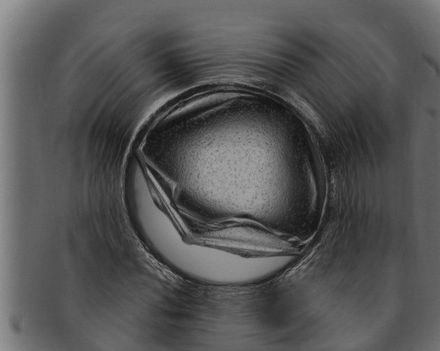 X0000091691020200709201254