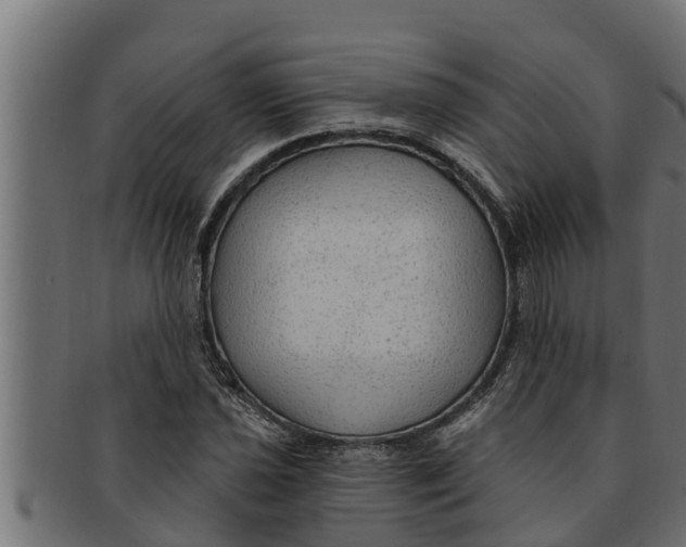 X0000091691021200709201254