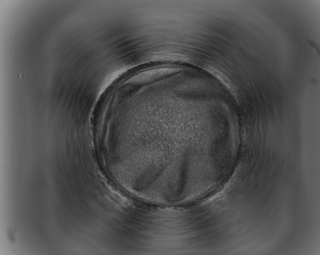 X0000091691022200709201254