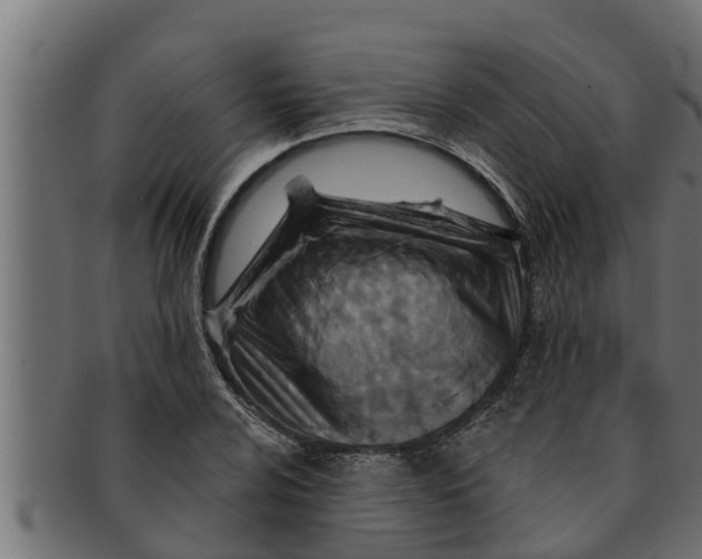 X0000091691024200709201254