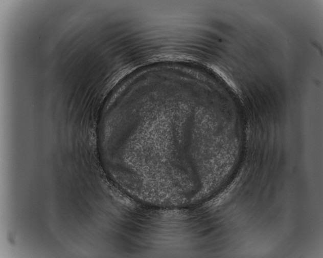 X0000091691025200709201254