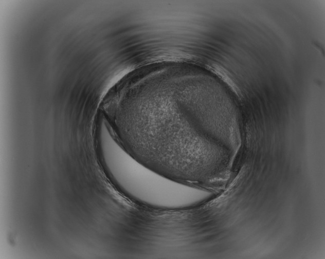 X0000091691026200709201254