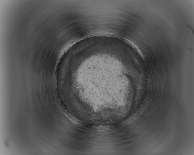 X0000091691027200709201254