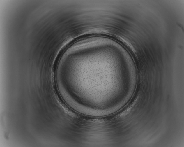 X0000091691029200709201254