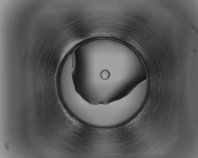 X0000091691030200709201254