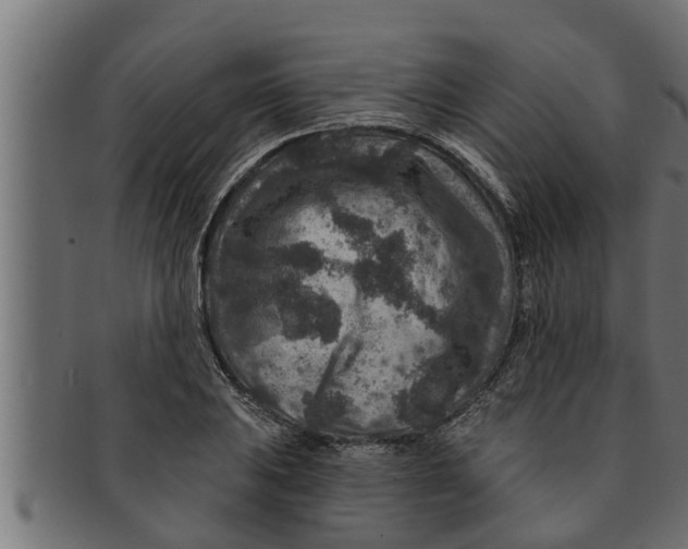 X0000091691031200709201254