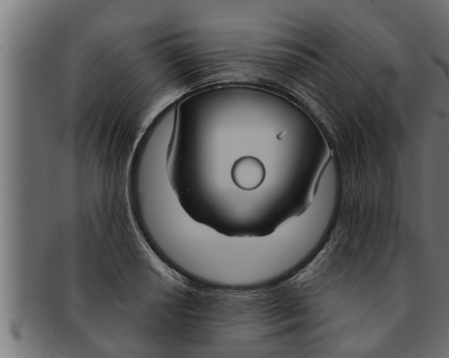 X0000091691034200709201254