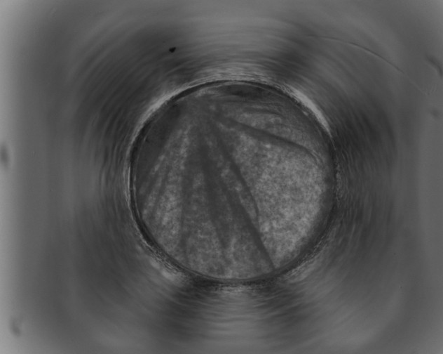 X0000091691035200709201254