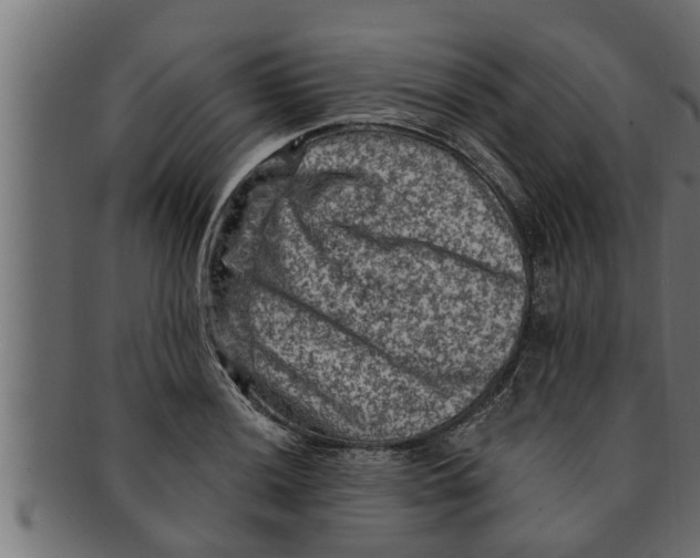 X0000091691036200709201254