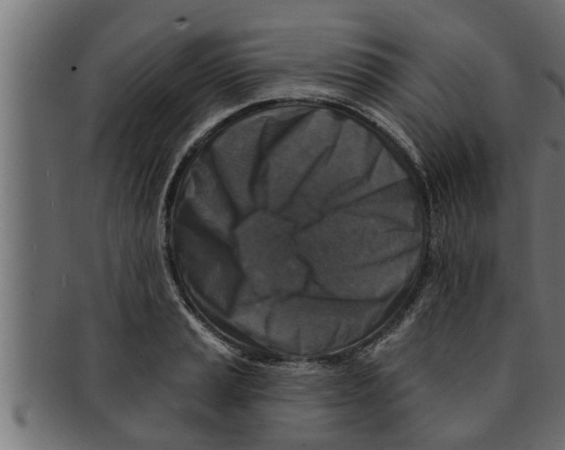 X0000091691037200709201254