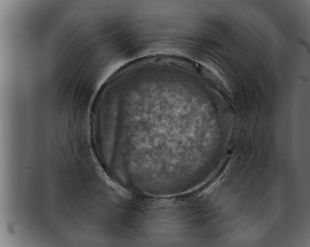 X0000091691038200709201254