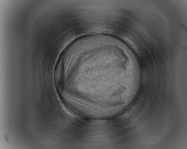 X0000091691039200709201254