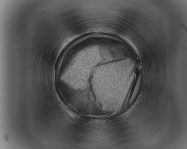 X0000091691040200709201254