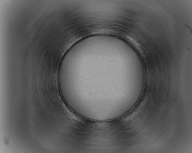 X0000091691041200709201254