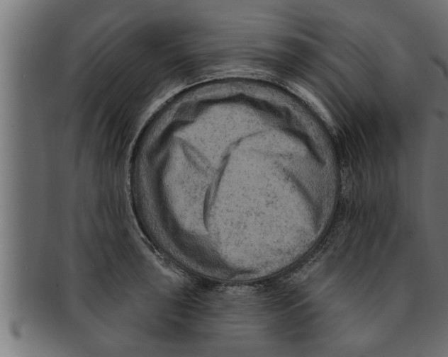 X0000091691043200709201254