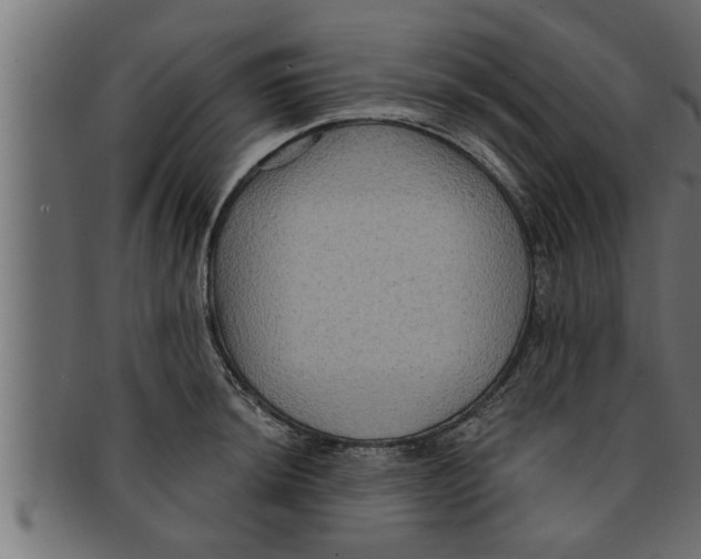 X0000091691044200709201254