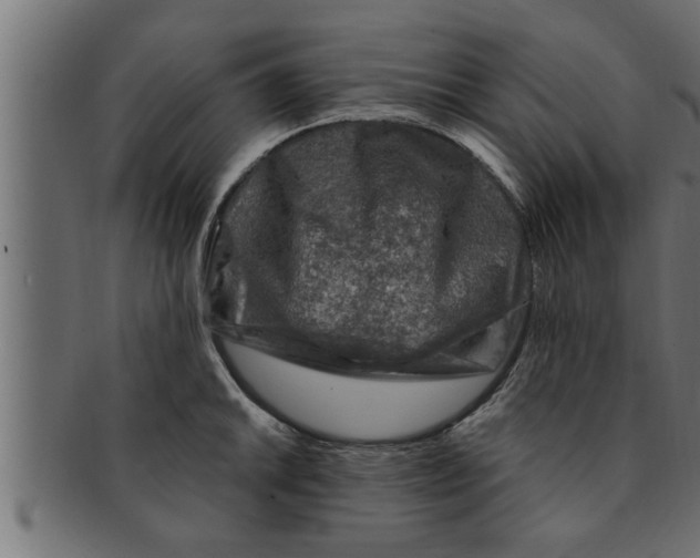 X0000091691046200709201254