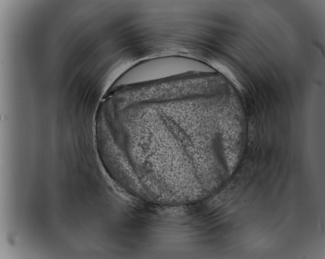 X0000091691047200709201254