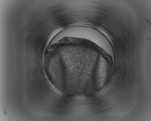 X0000091691050200709201254