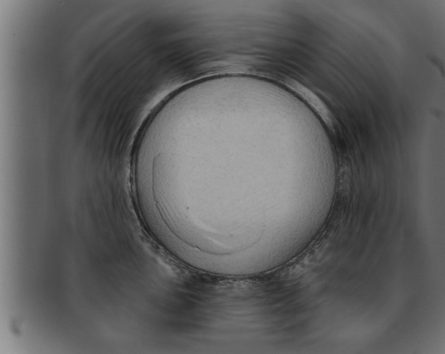 X0000091691051200709201255