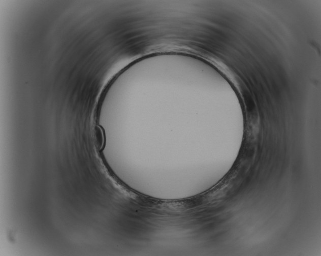 X0000091691053200709201255