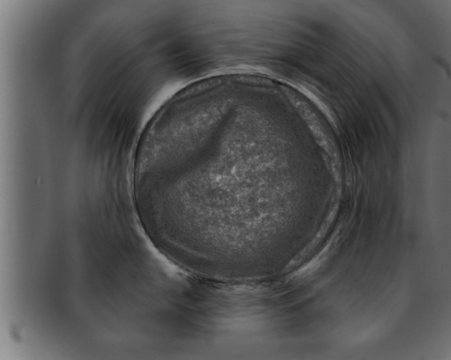 X0000091691054200709201255