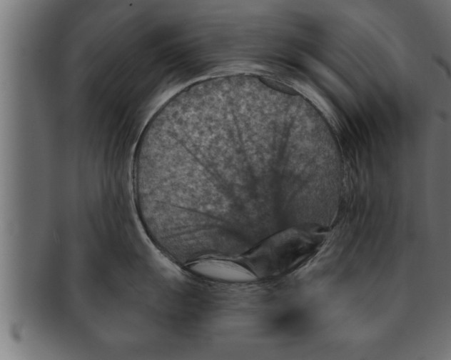 X0000091691055200709201255