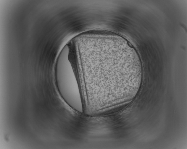 X0000091691056200709201255