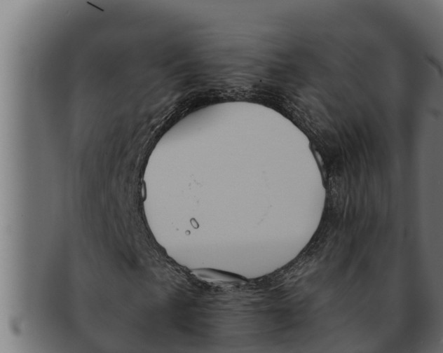 X0000091691057200709201254