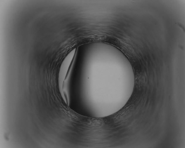 X0000091691058200709201254